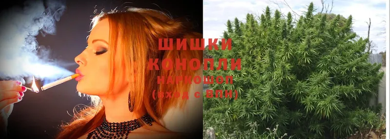 Каннабис OG Kush  наркота  omg как зайти  Зубцов 